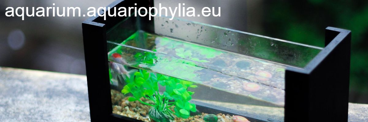 aquarium.aquariophylia.eu